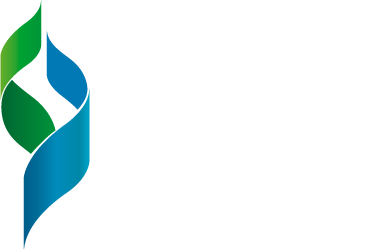 Detailed Application